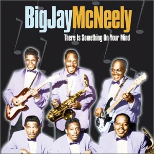 There is Something on Your Mind - Big Jay Mcneely - Musik - COLLECTABLES - 0090431637722 - 10. september 2002