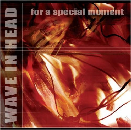 Cover for Wave in Head · For a Special Moment (CD) [Limited edition] (2005)