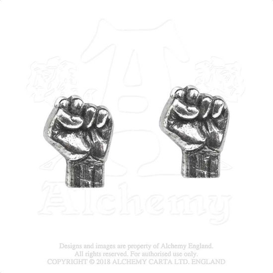 Cover for Rage Against The Machine · Rage Against The Machine Stud Earrings: Fist (Tillbehör) (2019)