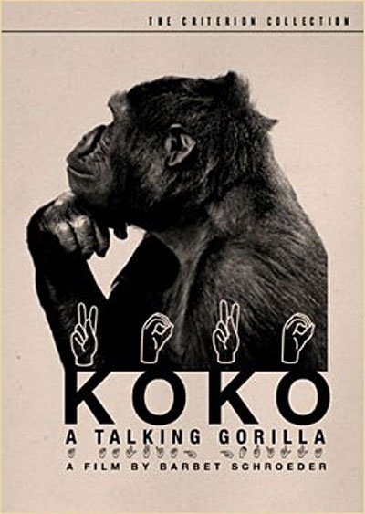 Cover for Criterion Collection · Koko - a Talking Gorilla / DVD (DVD) (2006)
