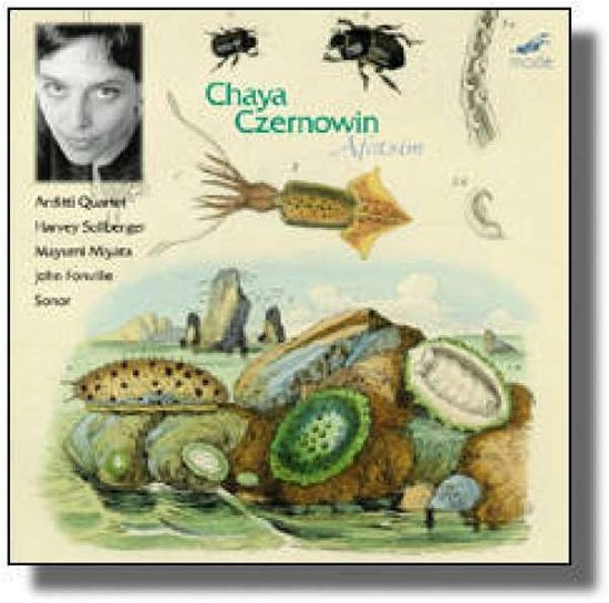 Cover for C. Czernowin · Afatsim / String Quartet/Kr (CD) (1999)