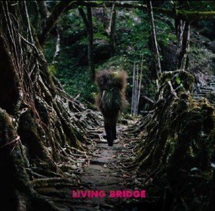Living Bridge - Various Artists - Music - Rare Book Rooms - 0775020846722 - January 26, 2009