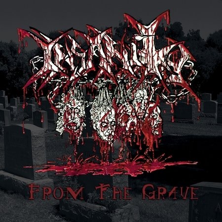 Cover for Insanity · From the Grave (CD)