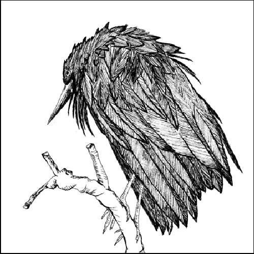 Little Sparrow - Spiral Joy Band - Music - VHF - 0783881011722 - May 12, 2009