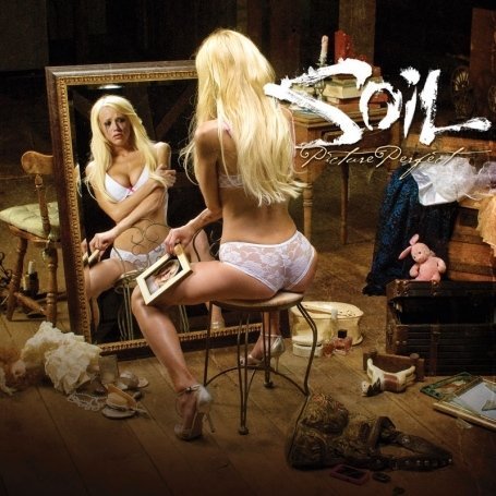 Cover for Soil · Picture Perfect (CD) (2009)