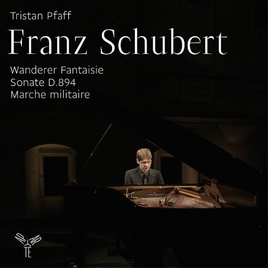 Wanderer Fantasie - F. Schubert - Muziek - APARTE - 3149028040722 - 6 juni 2013