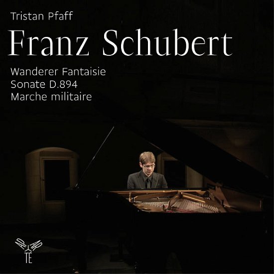 Cover for F. Schubert · Wanderer Fantasie (CD) (2013)