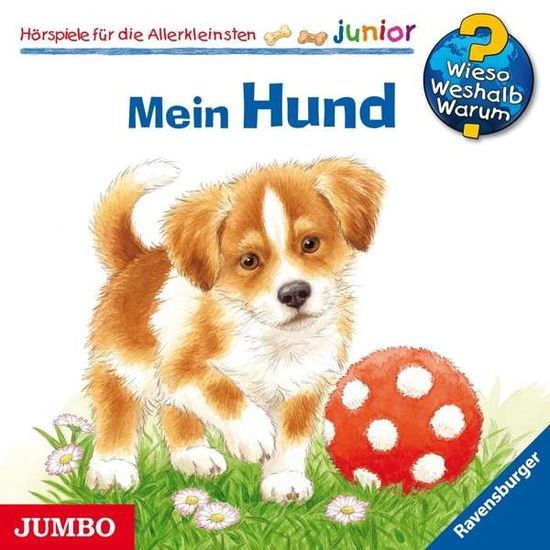 Cover for Wieso? Weshalb? Warum? · Mein Hund (CD) (2019)