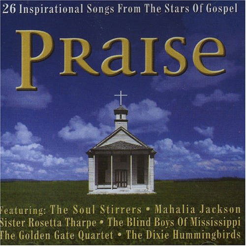 Cover for Praise · Praise-26 Inspirational Songs from the Stars of Gospel (CD)