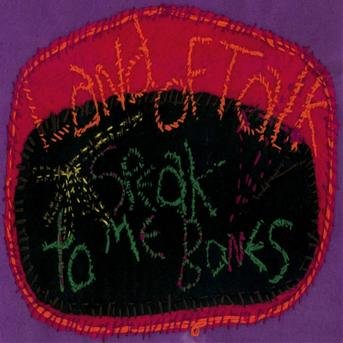 Cover for Land Of Talk · Speak To Me Bones (CD) (2010)