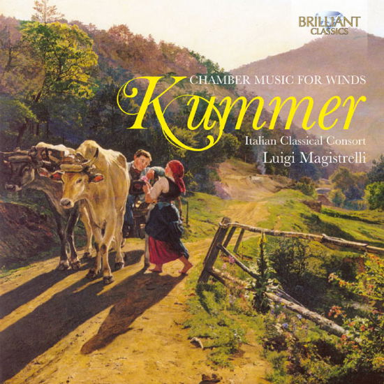 Chamber Music for Winds - Kummer / Magistrelli / Italian Classical Consort - Musikk - Brilliant Classics - 5028421944722 - 25. juni 2013