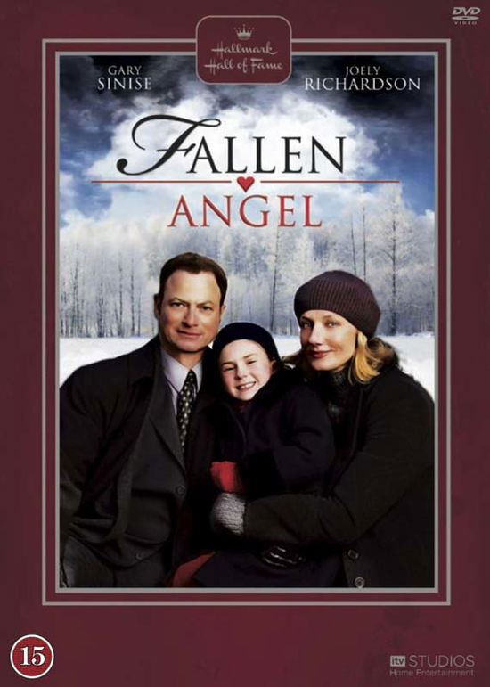 Fallen Angel - V/A - Film - Soul Media - 5709165613722 - 28. juni 2012