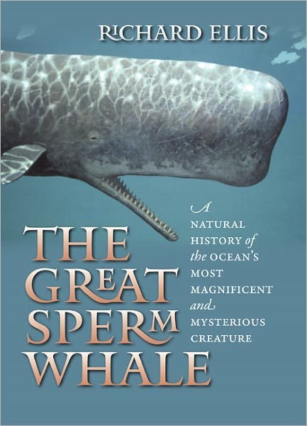 Cover for Richard Ellis · The Great Sperm Whale: A Natural History of the Ocean's Most Magnificent and Mysterious Creature (Gebundenes Buch) (2011)