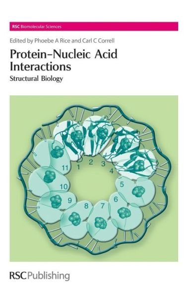 Cover for Phoebe a Rice · Protein-Nucleic Acid Interactions: Structural Biology - RSC Biomolecular Sciences (Hardcover Book) (2008)