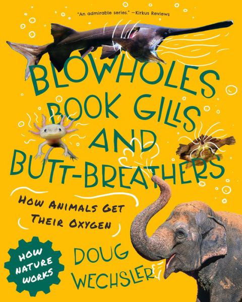 Cover for Doug Wechsler · Blowholes, Book Gills, and Butt-Breathers: How Animals Get Their Oxygen - How Nature Works (Hardcover Book) (2025)