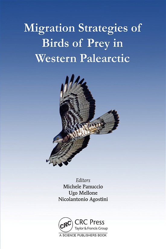 Cover for Panuccio, Michele (DSTA Department of Earth and Environmental Science, University of Pavia) · Migration Strategies of Birds of Prey in Western Palearctic (Gebundenes Buch) (2021)