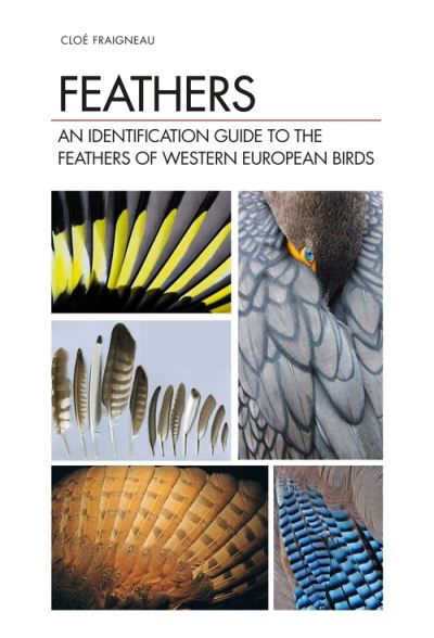 Feathers: An Identification Guide to the Feathers of Western European Birds - Cloe Fraigneau - Bücher - Bloomsbury Publishing PLC - 9781472971722 - 25. November 2021