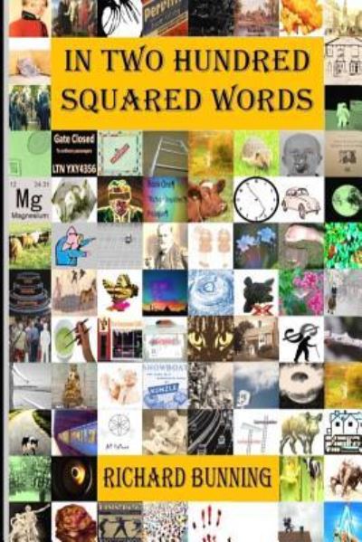 Cover for Richard Bunning · In Two Hundred Squared Words (Paperback Book) (2016)