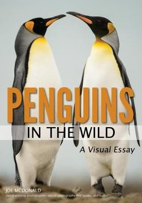 Cover for Joe McDonald · Penguins In The Wild (Paperback Book) (2018)