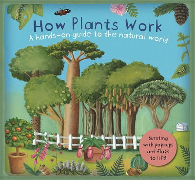 Cover for Christiane Dorion · How Plants Work (Hardcover Book) (2016)