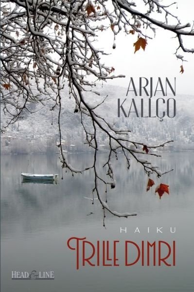 Cover for Arjan Kallco · Trille dimri (Pocketbok) (2021)