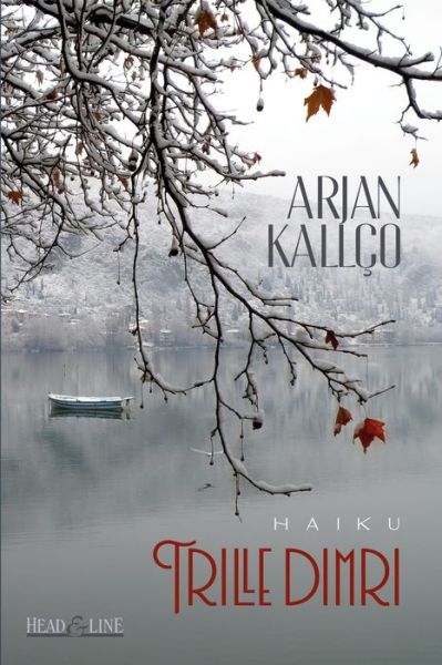 Cover for Arjan Kallco · Trille dimri (Paperback Book) (2021)