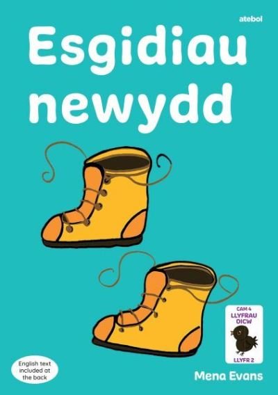 Cover for Mena Evans · Llyfrau Hwyl Magi Ann: Esgidiau Newydd (Pocketbok) (2023)
