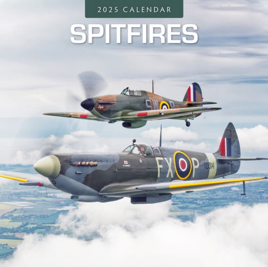 Red robin · Spitfires 2025 Square Wall Calendar (Paperback Book) (2024)