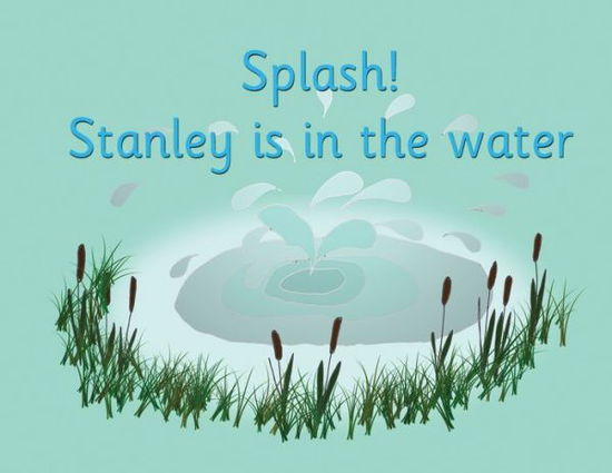 Cover for R Price-Mohr · Splash! Stanley is in the water (Paperback Book) (2021)