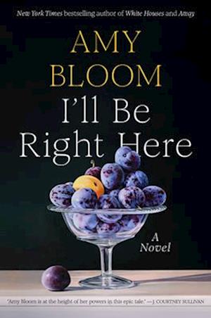 Cover for Amy Bloom · I'll Be Right Here (Book) (2025)