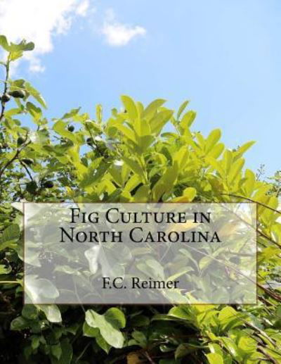 Cover for F C Reimer · Fig Culture in North Carolina (Pocketbok) (2018)