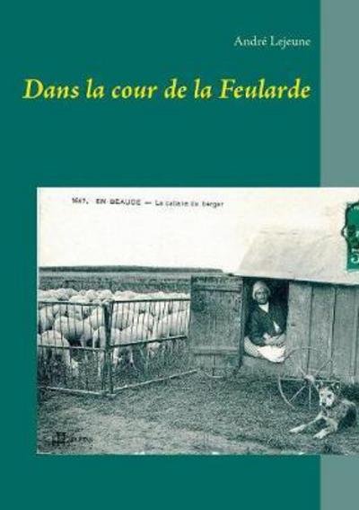Cover for Lejeune · Dans la cour de la Feularde (Bog) (2017)