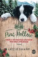 Cover for Shane · Pine Hollow - Zwölf Körbchen unte (N/A)