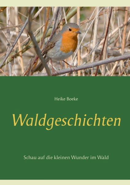 Cover for Heike Boeke · Waldgeschichten: Schau auf die kleinen Wunder im Wald (Paperback Book) (2020)