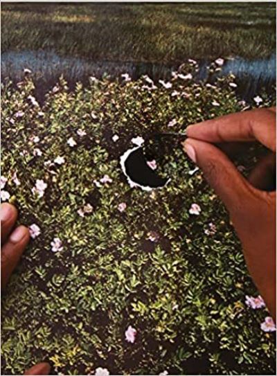 Cover for Alona Pardo · RE/SISTERS: A Lens on Gender and Ecology (Hardcover Book) (2023)