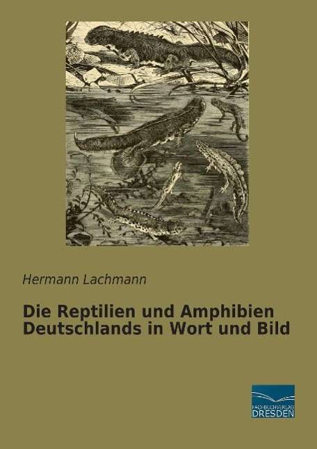 Cover for Lachmann · Die Reptilien und Amphibien De (Book)