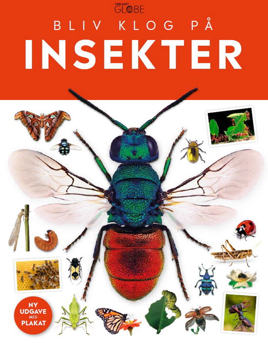 Bliv klog på: Insekter (Indbundet Bog) [1. udgave] (2024)