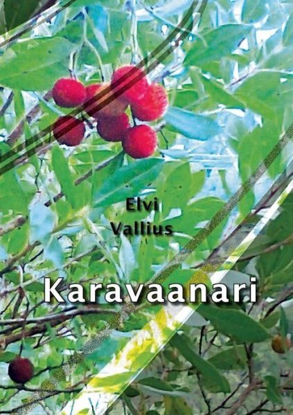 Cover for Elvi Vallius · Karavaanari (Paperback Book) [Finnish edition] (2014)