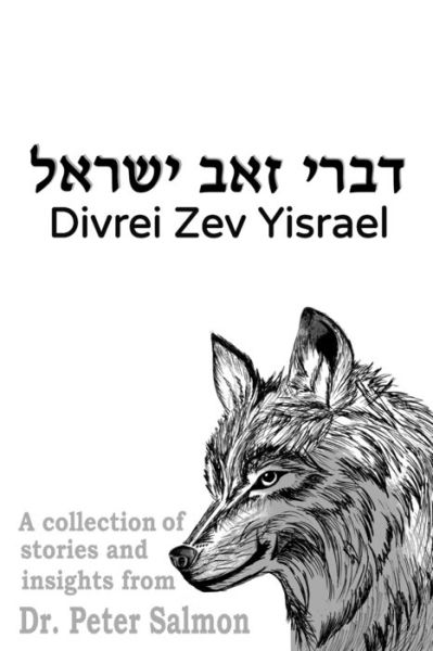 Cover for Shira Elana Wolfe · Divrei Zev Yisrael (Paperback Book) (2020)