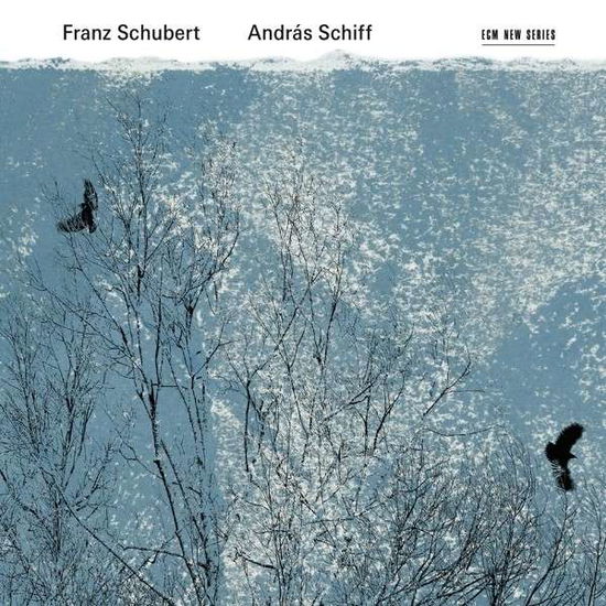 Schubert - Franz Schubert / Andras Schiff - Musique - CLASSICAL - 0028948115723 - 2 juin 2015