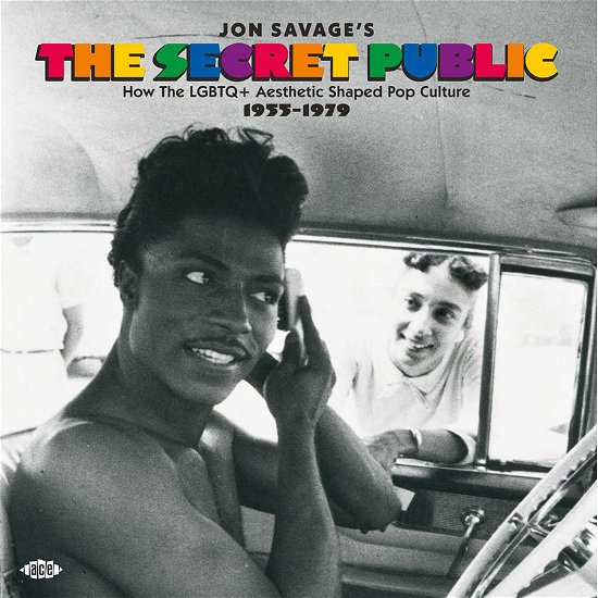 Cover for Various Artists · Jon Savage’s the Secret Public (CD) (2024)