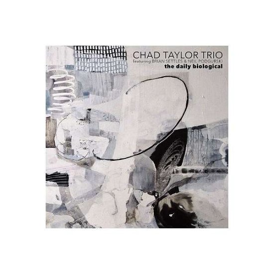 Cover for Chad Taylor Trio · The Daily Biological (Feat. Brian Settles / Neil Podgurski) (CD) (2020)