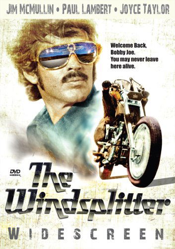 Cover for Feature Film · Windsplitter (DVD) (2020)