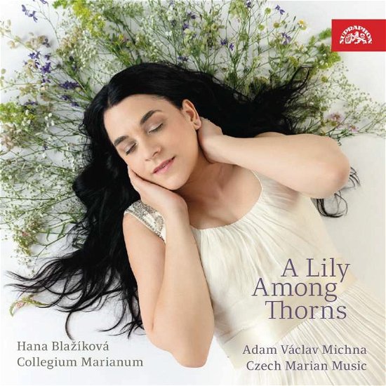 Cover for Blazikova, Hana / Collegium Marianum · Albrici, Biber, Capricornus, Kapsberger &amp; Otradovic: A Lily Among Thorns (CD) (2022)