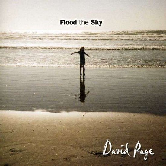 Flood the Sky - David Page - Musique - CD Baby - 0656613883723 - 2002