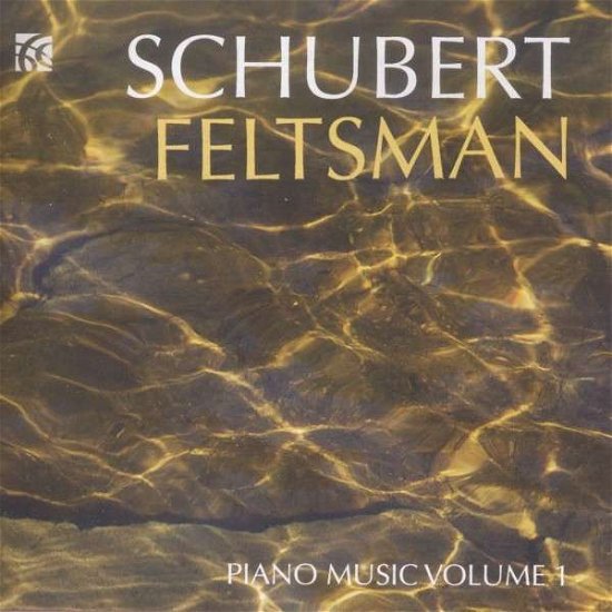 Cover for Schubert / Feltsman,vladimir · Piano Music 1 (CD) (2015)