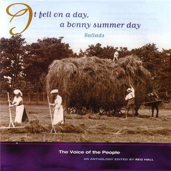 Cover for It Fell on a Day a Bonny Summer Day / Various (CD) (1999)
