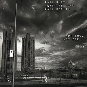 Bley Paul / Peacock Gary / Motian · Not Two, Not One (CD) (1999)