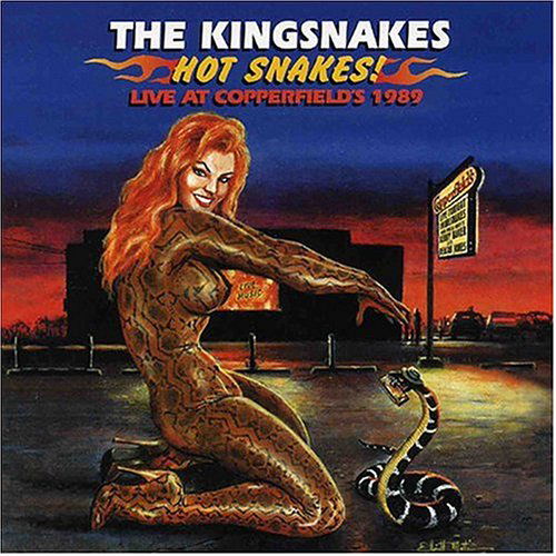 Cover for Kingsnakes · Hot Snakes (CD) (2004)