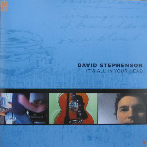 Cover for David Stephenson · Its All in Your Head (CD) (2001)